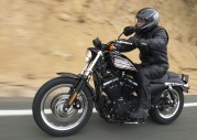 Harley-Davidson XL 883 R Sportster